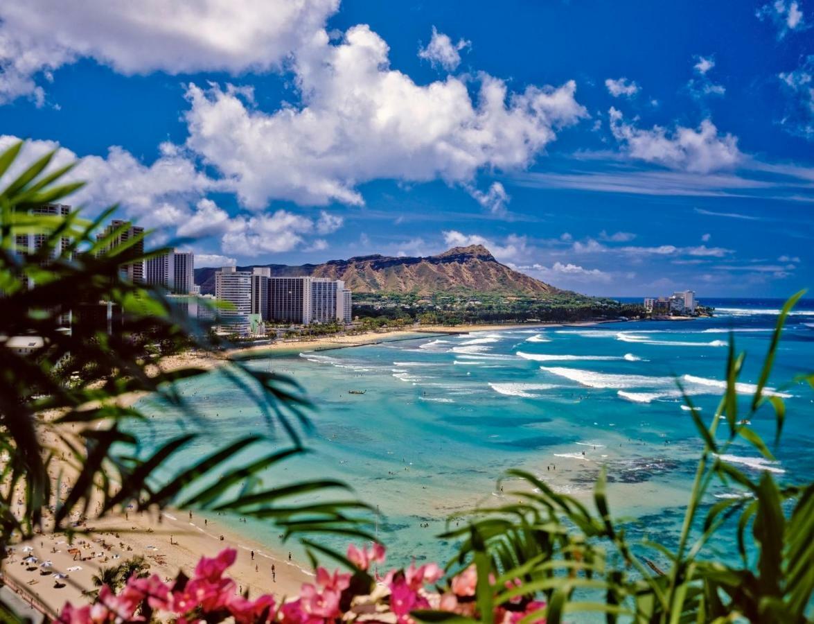 Beautiful Studio In The Heart Of Vibrant Waikiki 檀香山 外观 照片