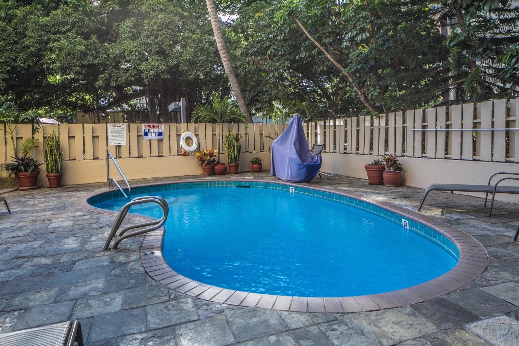 Beautiful Studio In The Heart Of Vibrant Waikiki 檀香山 外观 照片